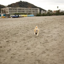 2012-12-02 13-09-29 (1)