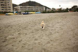 2012-12-02 13-09-29 (1)