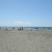 2012-08-31 11-36-38
